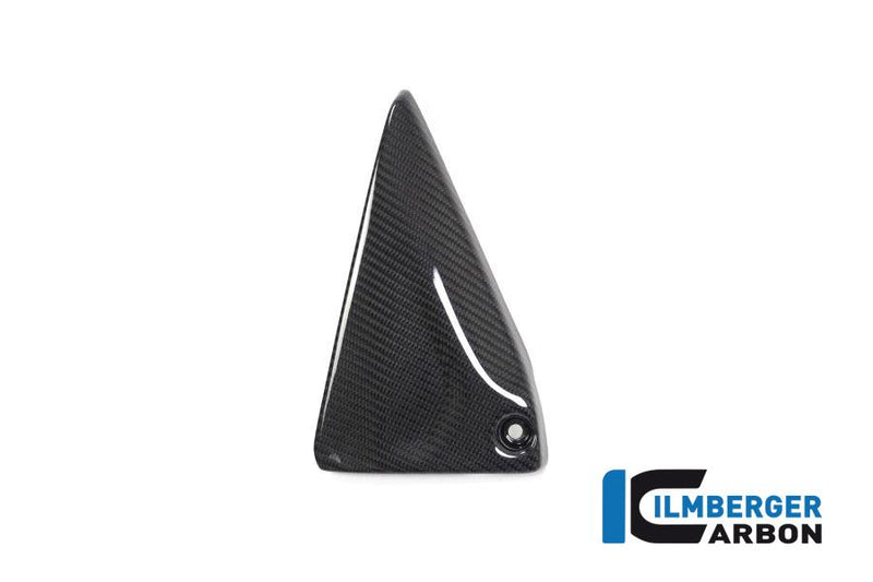 Ilmberger BMW R 1250 Ilmberger carbon frameafdekking midden Kuipdelen